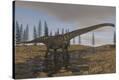 Stretched Canvas Print