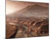 Photographic Print