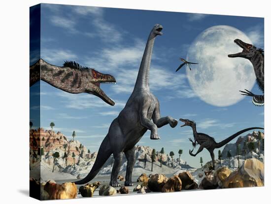 Stretched Canvas Print, , large