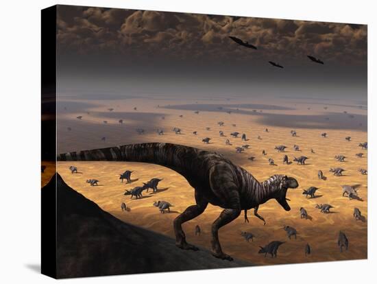 Stretched Canvas Print, , large