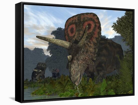 Stretched Canvas Print, , large
