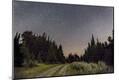 Photographic Print