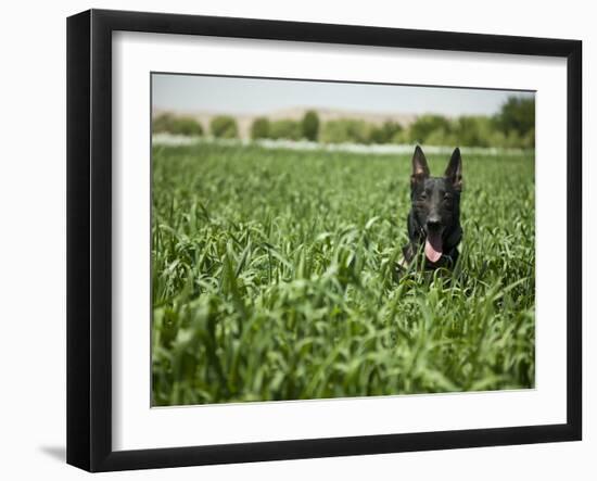 Photographic Print, , large