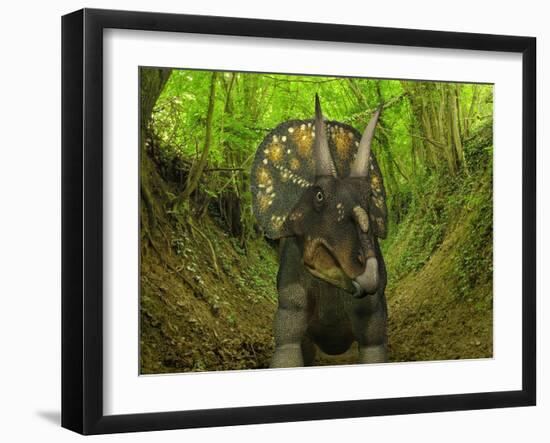 Photographic Print, , large