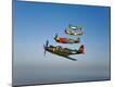 Premium Photographic Print