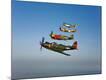 Premium Photographic Print