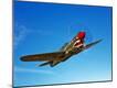 Premium Photographic Print