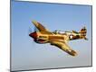 Premium Photographic Print