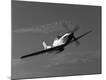 Premium Photographic Print