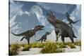 Stretched Canvas Print