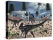 Stretched Canvas Print