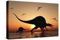 Stretched Canvas Print