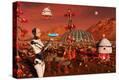 Stretched Canvas Print