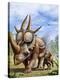 Stretched Canvas Print