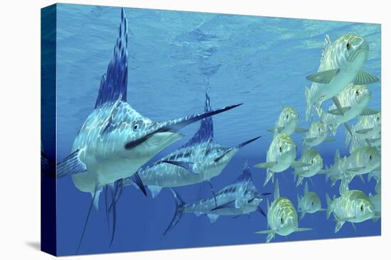 Stretched Canvas Print, , large