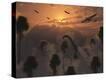 Stretched Canvas Print