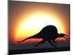 Photographic Print