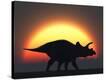 Stretched Canvas Print