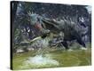 Stretched Canvas Print