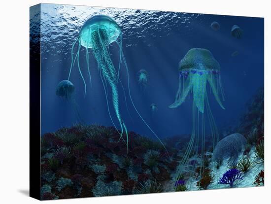 Stretched Canvas Print, , large
