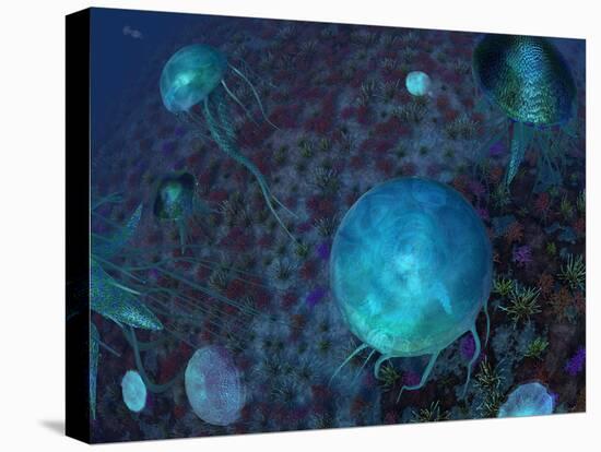 Stretched Canvas Print, , large