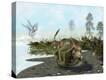 Stretched Canvas Print