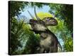 Stretched Canvas Print
