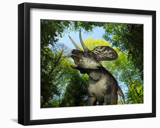 Photographic Print, , large