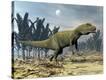 Stretched Canvas Print
