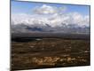 Photographic Print
