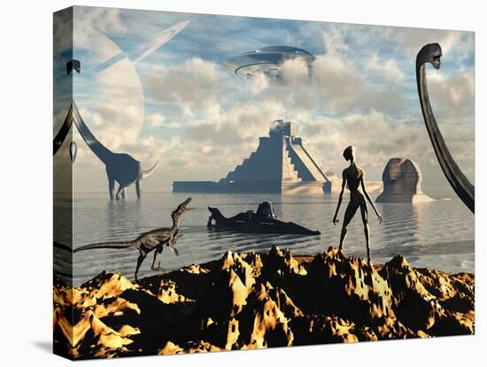 Stretched Canvas Print, , large