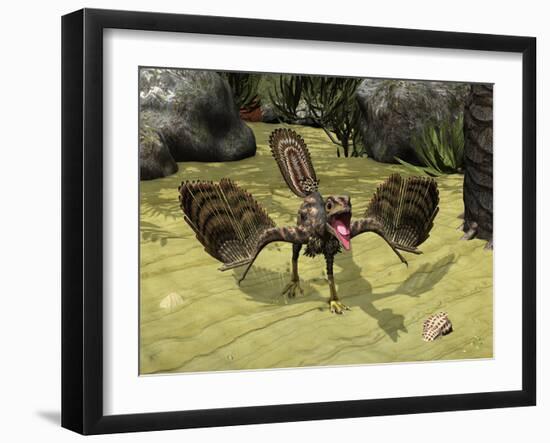 Photographic Print, , large