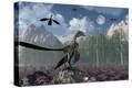 Stretched Canvas Print