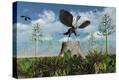 Stretched Canvas Print
