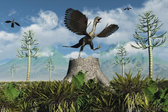 Premium Giclee Print, , large