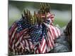 Premium Photographic Print