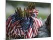 Premium Photographic Print