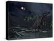Stretched Canvas Print