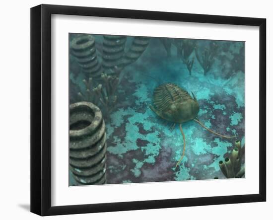 Photographic Print, , large