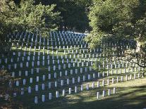 Arlington National Cemetery, Arlington, Virginia, USA-Stocktrek Images-Photographic Print