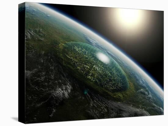 Stretched Canvas Print, , large