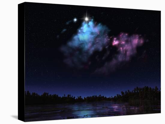 Stretched Canvas Print, , large
