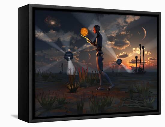 Stretched Canvas Print, , large