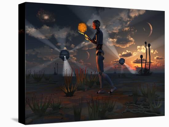 Stretched Canvas Print, , large