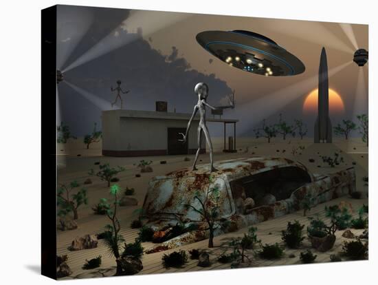 Stretched Canvas Print, , large