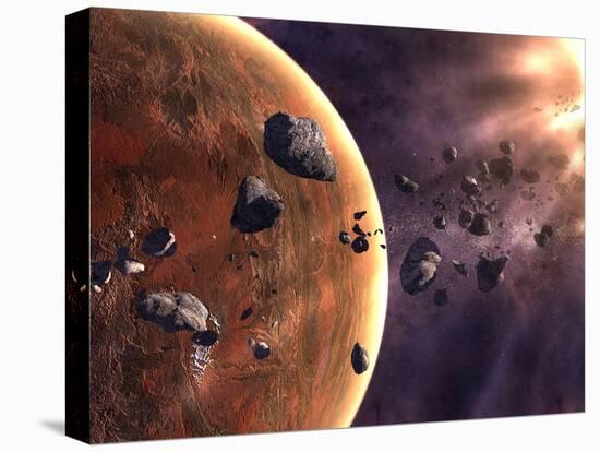 Stretched Canvas Print, , large