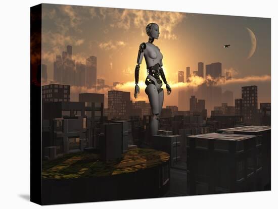 Stretched Canvas Print, , large