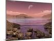 Photographic Print