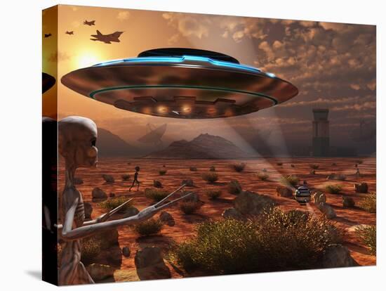 Stretched Canvas Print, , large