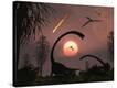 Stretched Canvas Print